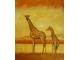 Obraz - Dvě žirafy