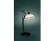 lampa stolní 363794310