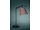 Stolní lampa EDWARD 37674/86/10 MASSIVE